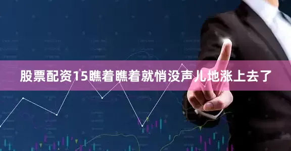 股票配资15瞧着瞧着就悄没声儿地涨上去了