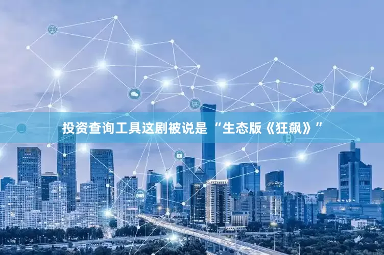 投资查询工具这剧被说是 “生态版《狂飙》”
