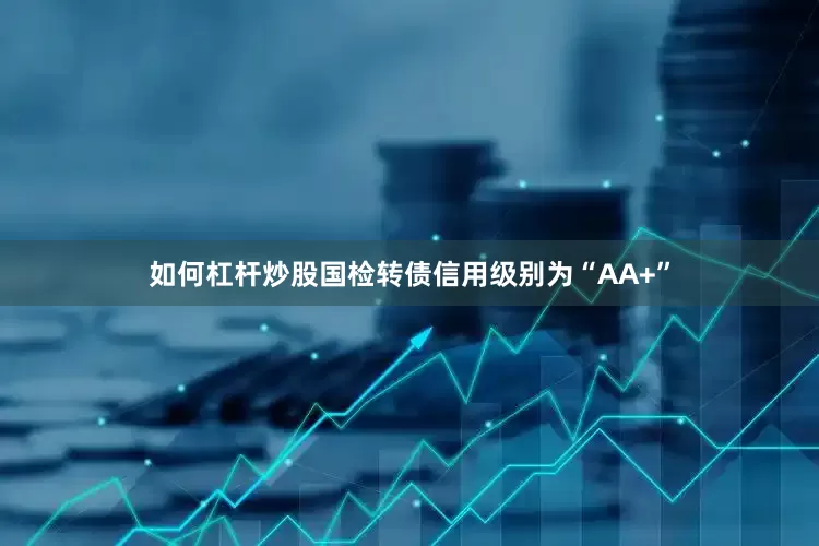 如何杠杆炒股国检转债信用级别为“AA+”