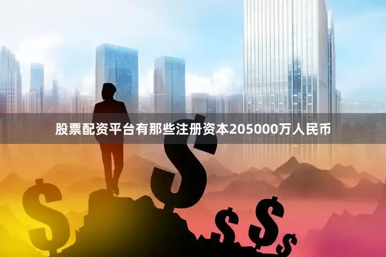 股票配资平台有那些注册资本205000万人民币