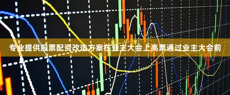 专业提供股票配资改造方案在业主大会上高票通过业主大会前