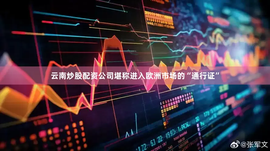 云南炒股配资公司堪称进入欧洲市场的“通行证”